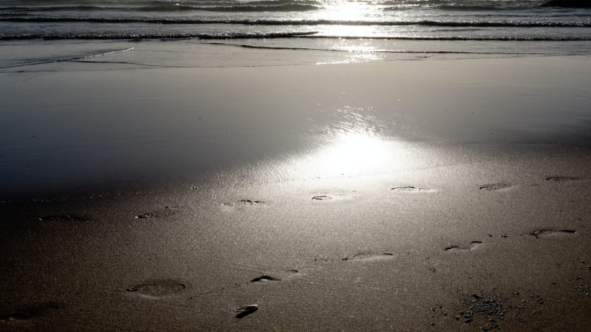 Comment réduire votre empreinte carbone au quotidien : 10 astuces pratiques