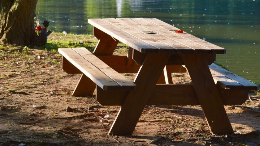 Comment choisir des produits de nettoyage écologiques et efficaces