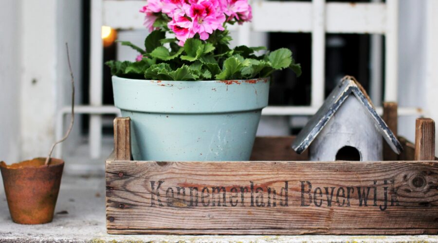 Comment Cultiver un Jardin Potager Bio