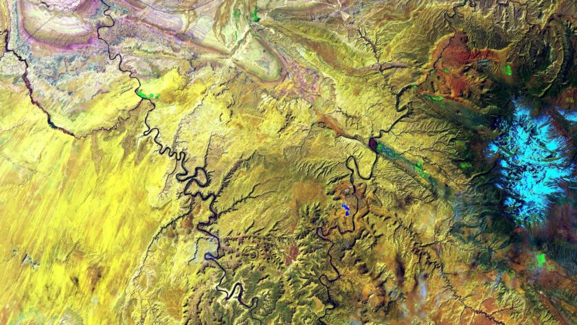 Les effets du changement climatique sur la biodiversité : Un aperçu complet