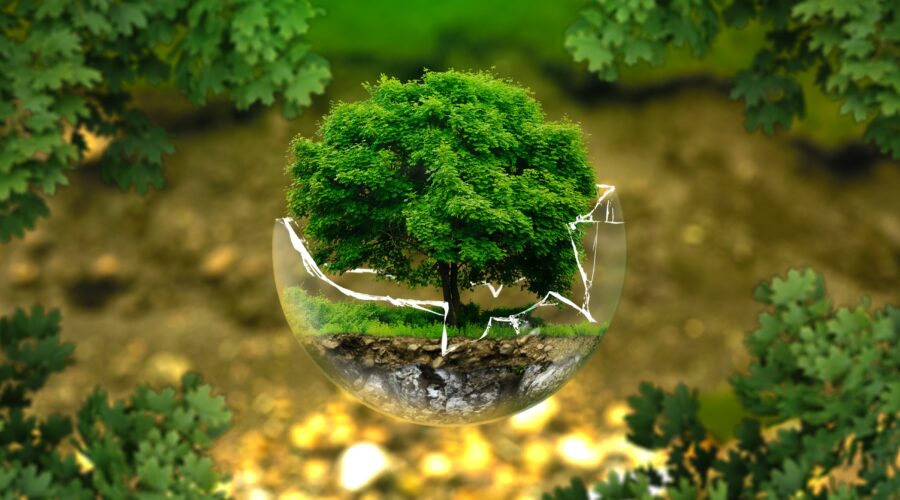 Comment Soutenir des Projets de Conservation de la Nature