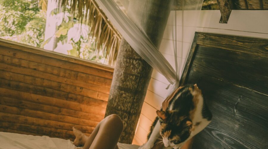 Les avantages des éco-labels : Des indications de produits durables