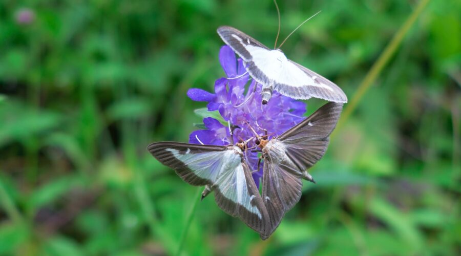 L&rsquo;écologie industrielle : Réduire les déchets et favoriser la durabilité