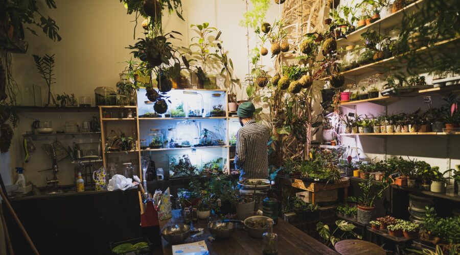 Les avantages de l&rsquo;upcycling : Donnez une seconde vie à vos objets