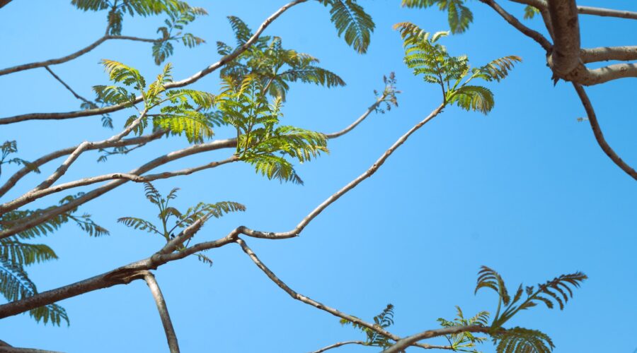 Zéro déchet : Comment adopter un mode de vie plus durable