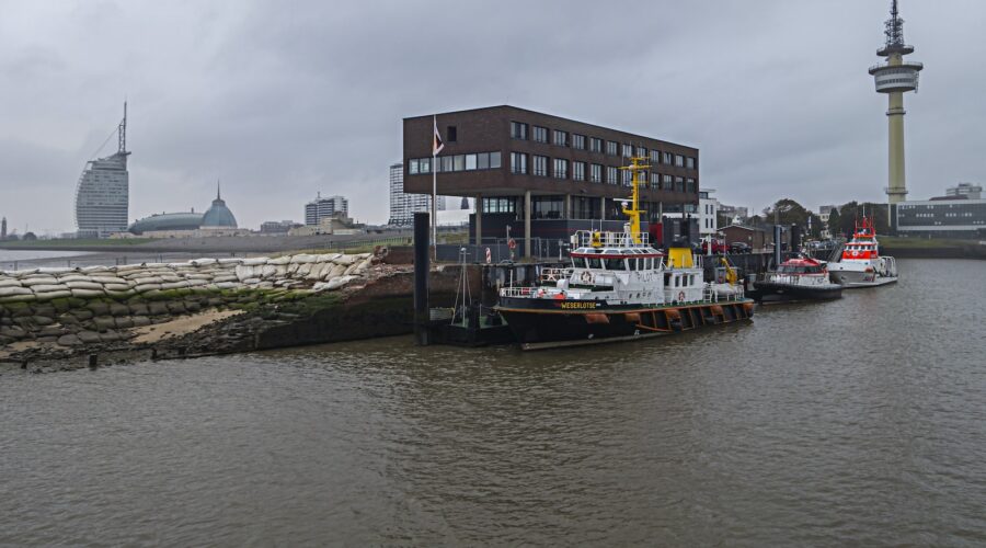 Les forêts urbaines : Un remède naturel pour les villes