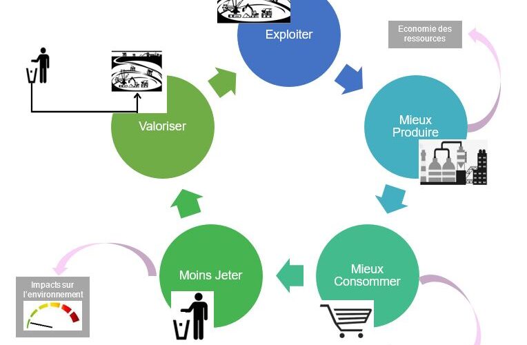 Les bienfaits de l&rsquo;économie circulaire pour l&rsquo;environnement