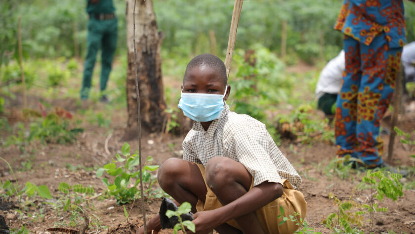 Les initiatives de reforestation dans le monde : Restaurer les écosystèmes